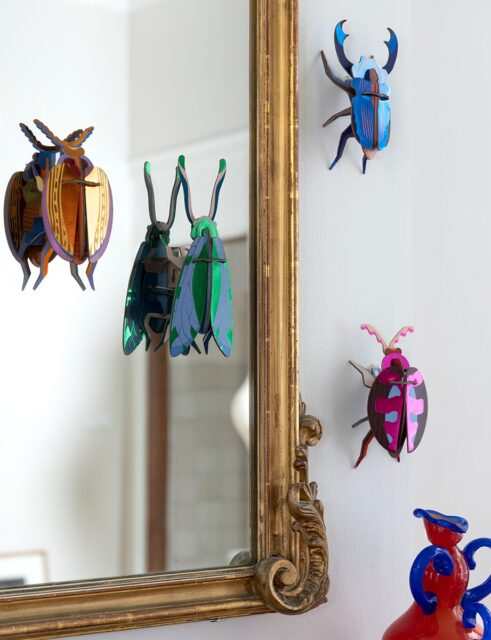 Look at these special beauties ✨
The shimmering shields we admire in nature, translates into four new wall beetles!